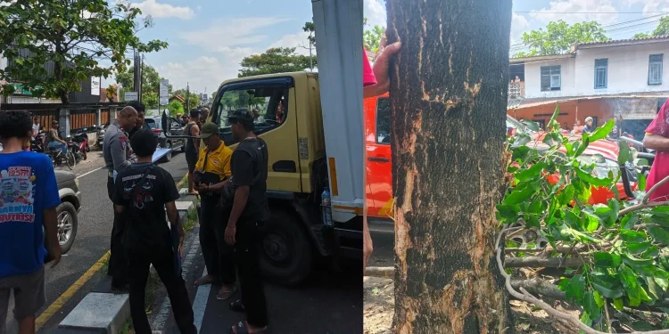 Kecelakaan Ringroad Selatan Bantul Libatkan Xenia dan Truk Box, Seorang Penumpang Hamil Meninggal Dunia