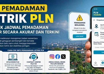 Cara cek info pemadaman listrik PLN terbaru melalui PLN Mobile, situs resmi, dan layanan PLN 123