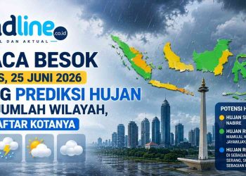 Cek Cuaca Besok Sebelum Beraktivitas, BMKG Prediksi Hujan di Sumatera, Kalimantan, dan Papua