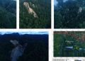 Fakta Terbaru Pascagempa Sigi Empat Natural Dam Ditemukan, Ancaman Banjir Bandang Diantisipasi