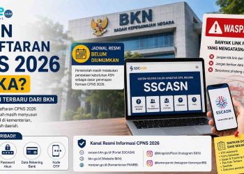 Pendaftaran CPNS 2026 Belum Ada Jadwal, Pemerintah Masih Susun Formasi ASN
