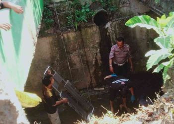 Pengendara Honda Vario Terjun ke Selokan Usai Senggol Suzuki Carry di Umbulharjo Yogyakarta