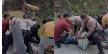 Sedang Petik Kelapa, Pria 63 Tahun Mendadak Diserang dan Dibacok di Kepala