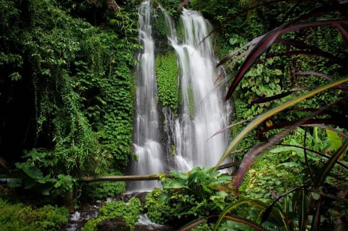 Tiket Masuk Wisata Air Terjun Jagir Banyuwangi