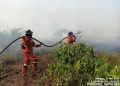 Kebakaran Hutan di Riau Masih Berlangsung, Manggala Agni Terus Berupaya di Tiga Lokasi