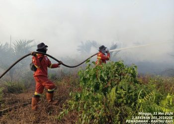 Kebakaran Hutan di Riau Masih Berlangsung, Manggala Agni Terus Berupaya di Tiga Lokasi