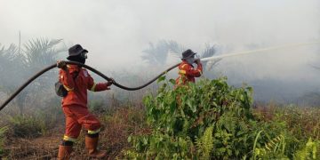 Kebakaran Hutan di Riau Masih Berlangsung, Manggala Agni Terus Berupaya di Tiga Lokasi