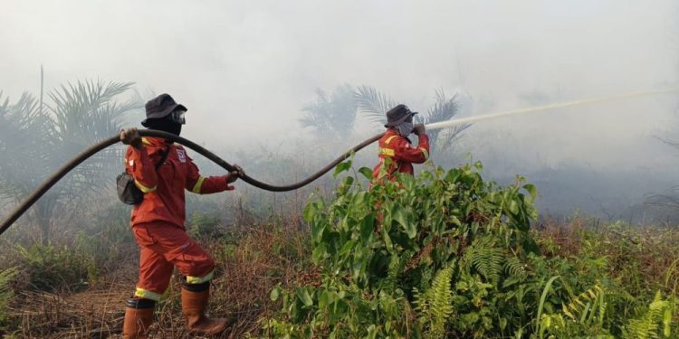 Kebakaran Hutan di Riau Masih Berlangsung, Manggala Agni Terus Berupaya di Tiga Lokasi