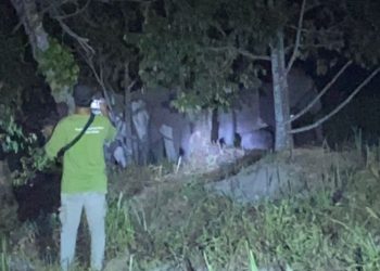 Kawanan Gajah Sumatra Muncul di Pekanbaru, Ini Tindakan yang Diambil