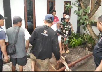 Penyembelihan Dua Sapi Kurban di NPCI Riau, Pengurus Bergotong Royong