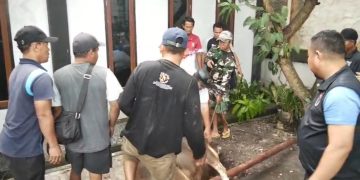 Penyembelihan Dua Sapi Kurban di NPCI Riau, Pengurus Bergotong Royong