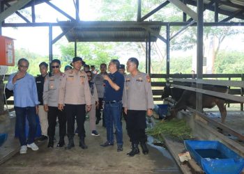 Tim Itwasda Polda Kaltim Tinjau Program Peternakan Sapi di Lahan Pascatambang