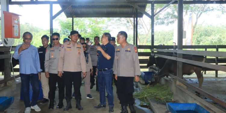Tim Itwasda Polda Kaltim Tinjau Program Peternakan Sapi di Lahan Pascatambang