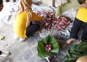 UGM Distribusikan Hewan Kurban dan Ajak Gunakan Daun Jati sebagai Pembungkus