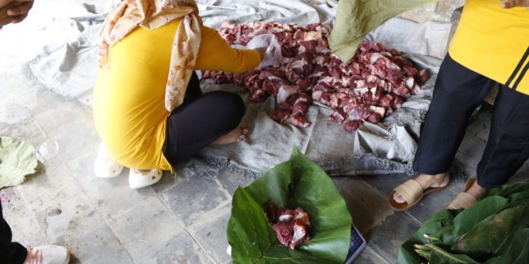 UGM Distribusikan Hewan Kurban dan Ajak Gunakan Daun Jati sebagai Pembungkus