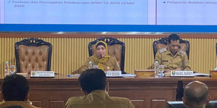 Peningkatan PAD Batang Didukung oleh Pajak dan Retribusi