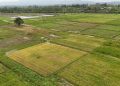 Masyarakat Papua Dukung Program Cetak Sawah Tanpa Perampasan Lahan