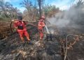 Kementerian Kehutanan Kerahkan Manggala Agni untuk Atasi Kebakaran di Sumatra