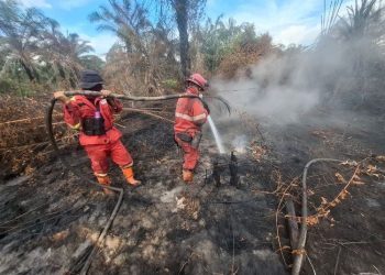 Kementerian Kehutanan Kerahkan Manggala Agni untuk Atasi Kebakaran di Sumatra