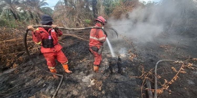 Kementerian Kehutanan Kerahkan Manggala Agni untuk Atasi Kebakaran di Sumatra