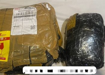 Polda Kepri Ungkap Jaringan Peredaran Ganja Aceh-Batam