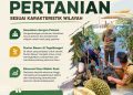 Durian Bawor Menjadi Unggulan Baru Pertanian di Ranuyoso