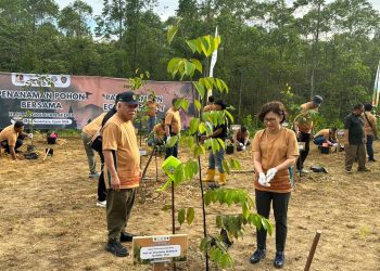 UGM dan PAMA Gelar Penanaman Pohon di Wanagama Nusantara