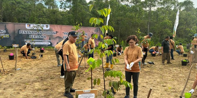 UGM dan PAMA Gelar Penanaman Pohon di Wanagama Nusantara