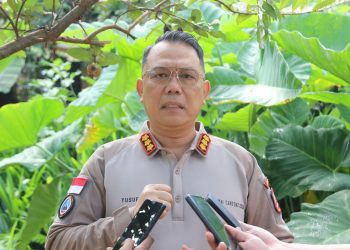 Satgas Damai Cartenz 2026 Amankan Terduga Anggota KKB Terkait Insiden Penembakan di Papua
