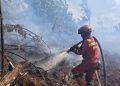 Kebakaran Hutan di Riau Mulai Terkendali, Upaya Pendinginan Terus Berlanjut