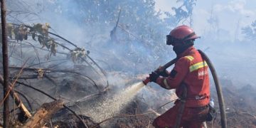 Kebakaran Hutan di Riau Mulai Terkendali, Upaya Pendinginan Terus Berlanjut