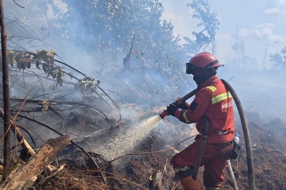 Kebakaran Hutan di Riau Mulai Terkendali, Upaya Pendinginan Terus Berlanjut