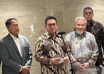 Minyakita Tidak Lagi Menjadi Bagian dari Bantuan Pangan Pemerintah