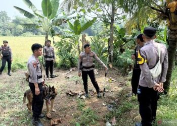 Polres Bogor Kerahkan Tim K9 untuk Tangani Insiden Anjing Pemburu di Jasinga