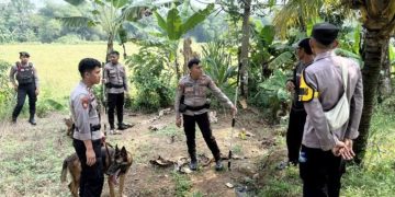 Polres Bogor Kerahkan Tim K9 untuk Tangani Insiden Anjing Pemburu di Jasinga