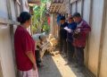 Program Domba Kesejahteraan di Bojonegoro Tingkatkan Ekonomi Warga
