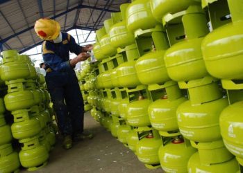 Presiden Prabowo Mendorong Percepatan Penggunaan Energi Alternatif