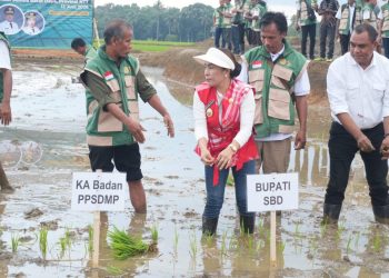 Kolaborasi Sektor di Sumba Barat Daya Tingkatkan Ketahanan Pangan
