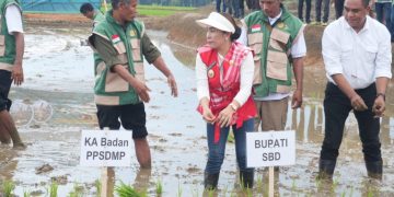Kolaborasi Sektor di Sumba Barat Daya Tingkatkan Ketahanan Pangan