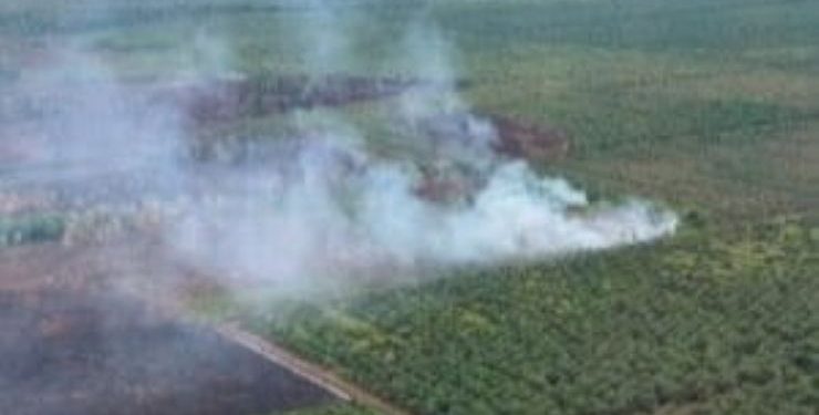 Kapolda Aceh dan BPBA Lakukan Pemantauan Karhutla di Barsela Melalui Udara