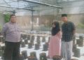 Polsek Batang-Batang Pantau Budidaya Melon untuk Ketahanan Pangan