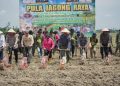 Polda Aceh dan Petani Muda Pidie Kolaborasi Tanam Jagung