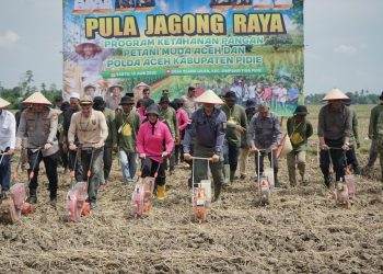 Polda Aceh dan Petani Muda Pidie Kolaborasi Tanam Jagung