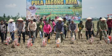 Polda Aceh dan Petani Muda Pidie Kolaborasi Tanam Jagung