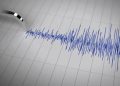 Gempa Magnitudo 3,7 Guncang Sumbawa Barat, NTB