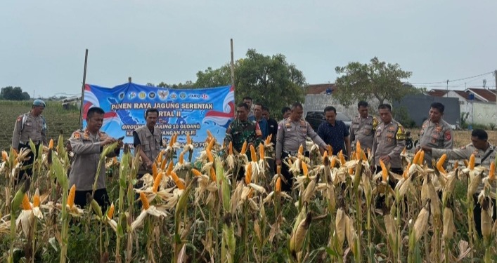 Polres Karawang dan Muspika Klari Dukung Swasembada Pangan dengan Tanam Jagung Hibrida