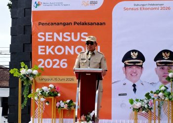 Bupati Maluku Tenggara Resmikan Sensus Ekonomi 2026