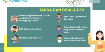 Kemenkes Tekankan Pentingnya Waspada Fase Kritis Demam Berdarah