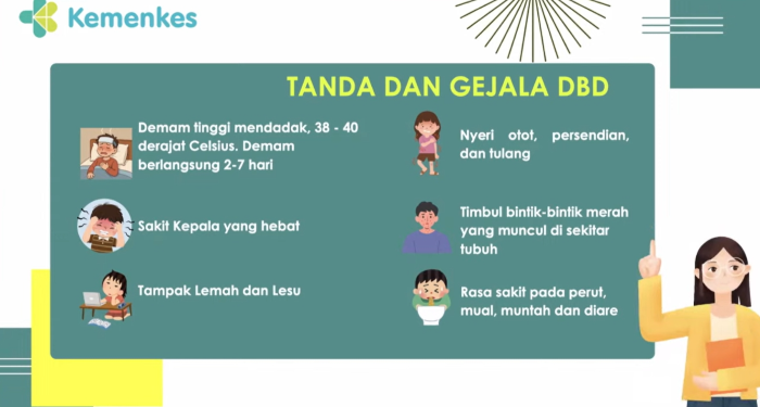 Kemenkes Tekankan Pentingnya Waspada Fase Kritis Demam Berdarah