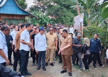 Wamenko Pangan Dorong Pengembangan Klaster Itik Siti Hawa Sebagai Model Nasional